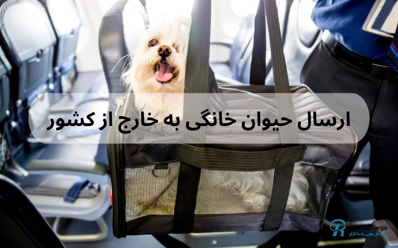 ارسال حیوان خانگی به خارج از کشور