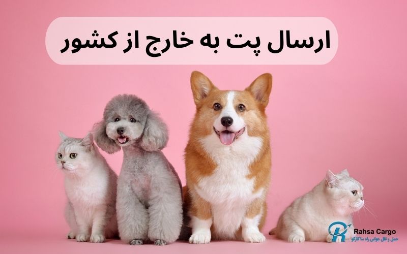 ارسال پت به خارج