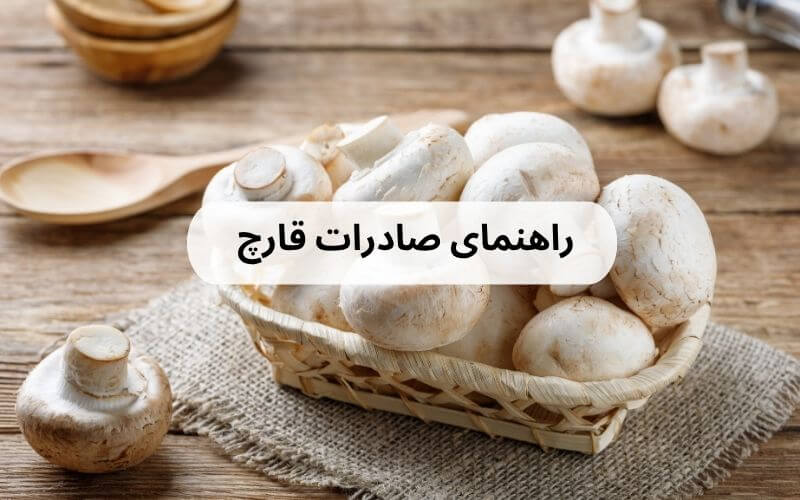 صادرات قارچ به خارج از کشور