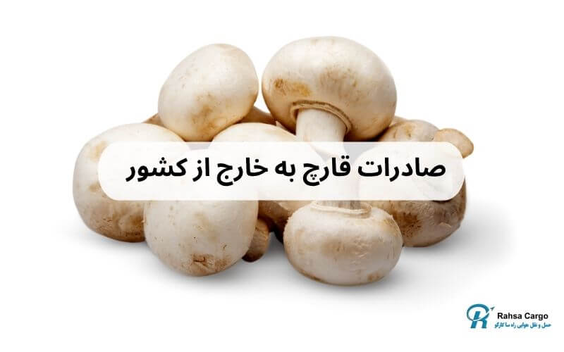 صادرات قارچ